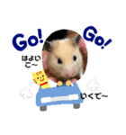 ハムハムきんちゃん（個別スタンプ：13）
