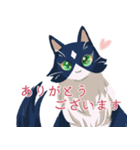 うちのほんわかねこたち（個別スタンプ：1）