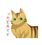 うちのほんわかねこたち（個別スタンプ：2）