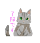 うちのほんわかねこたち（個別スタンプ：4）