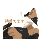 うちのほんわかねこたち（個別スタンプ：5）