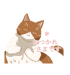 うちのほんわかねこたち（個別スタンプ：6）