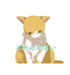 うちのほんわかねこたち（個別スタンプ：7）