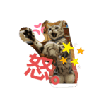 こゆぱと（個別スタンプ：6）