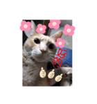 あたしのネコちゃん（個別スタンプ：9）