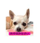 We love Chip（個別スタンプ：1）
