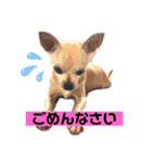 We love Chip（個別スタンプ：8）