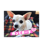 We love Chip（個別スタンプ：9）