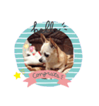 We love Chip（個別スタンプ：13）