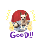 We love Chip（個別スタンプ：14）