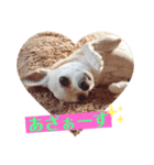 We love Chip（個別スタンプ：15）