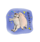 フレブルびょるたん①（個別スタンプ：2）