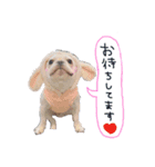 フレブルびょるたん①（個別スタンプ：6）