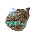 おせち一家（個別スタンプ：2）