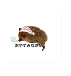 おせち一家（個別スタンプ：4）