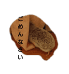 おせち一家（個別スタンプ：7）