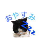 ranran_20200116004105（個別スタンプ：2）