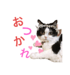 ranran_20200116004105（個別スタンプ：4）