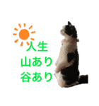 ranran_20200116004105（個別スタンプ：5）