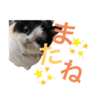 ranran_20200116004105（個別スタンプ：8）