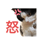 ranran_20200116004105（個別スタンプ：10）