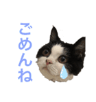 ranran_20200116004105（個別スタンプ：12）