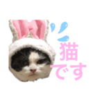 ranran_20200116004105（個別スタンプ：13）