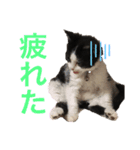 ranran_20200116004105（個別スタンプ：14）