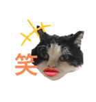 ranran_20200116004105（個別スタンプ：16）