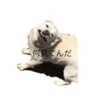 色々詰め込み〜（個別スタンプ：8）