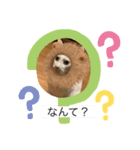 O.R_20200115221436（個別スタンプ：4）