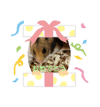 マイハムスター（個別スタンプ：7）