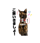 凛モモ幸太（個別スタンプ：7）