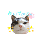 ♪猫のユメと申すにゃん♪（個別スタンプ：6）