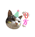 ♪猫のユメと申すにゃん♪（個別スタンプ：12）