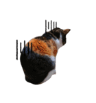 ♪猫のユメと申すにゃん♪（個別スタンプ：18）