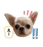 ichi☺︎stamp❤︎（個別スタンプ：8）