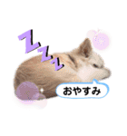 ichi☺︎stamp❤︎（個別スタンプ：12）