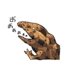 だいたいサンショウウオ（個別スタンプ：25）
