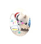 ぽんぷくん！！！！（個別スタンプ：4）