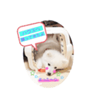 ぽんぷくん！！！！（個別スタンプ：5）