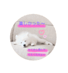ぽんぷくん！！！！（個別スタンプ：7）