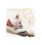 ぽんぷくん！！！！（個別スタンプ：8）