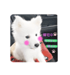 ぽんぷくん！！！！（個別スタンプ：9）