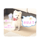 ぽんぷくん！！！！（個別スタンプ：10）