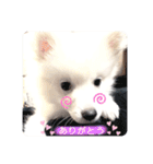 ぽんぷくん！！！！（個別スタンプ：12）