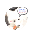 ぽんぷくん！！！！（個別スタンプ：14）