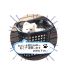 ぽんぷくん！！！！（個別スタンプ：15）
