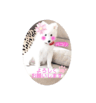 ぽんぷくん！！！！（個別スタンプ：20）