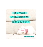 ぽんぷくん！！！！（個別スタンプ：21）